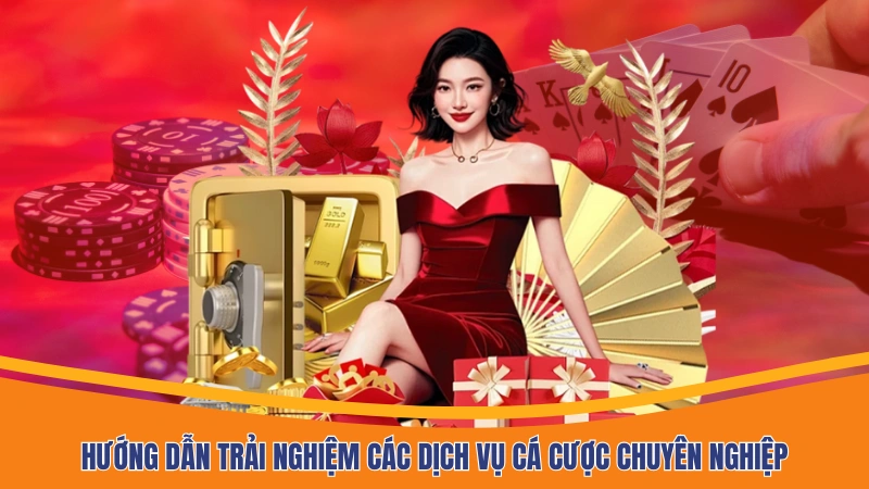Hướng dẫn trải nghiệm các dịch vụ cá cược chuyên nghiệp
