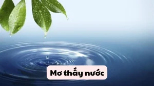 Mơ thấy nước